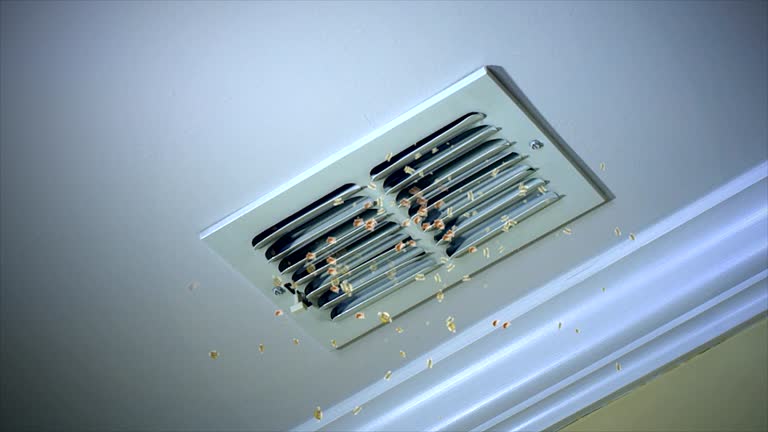 Best Professional Duct Cleaning Services  in Scappoose, OR